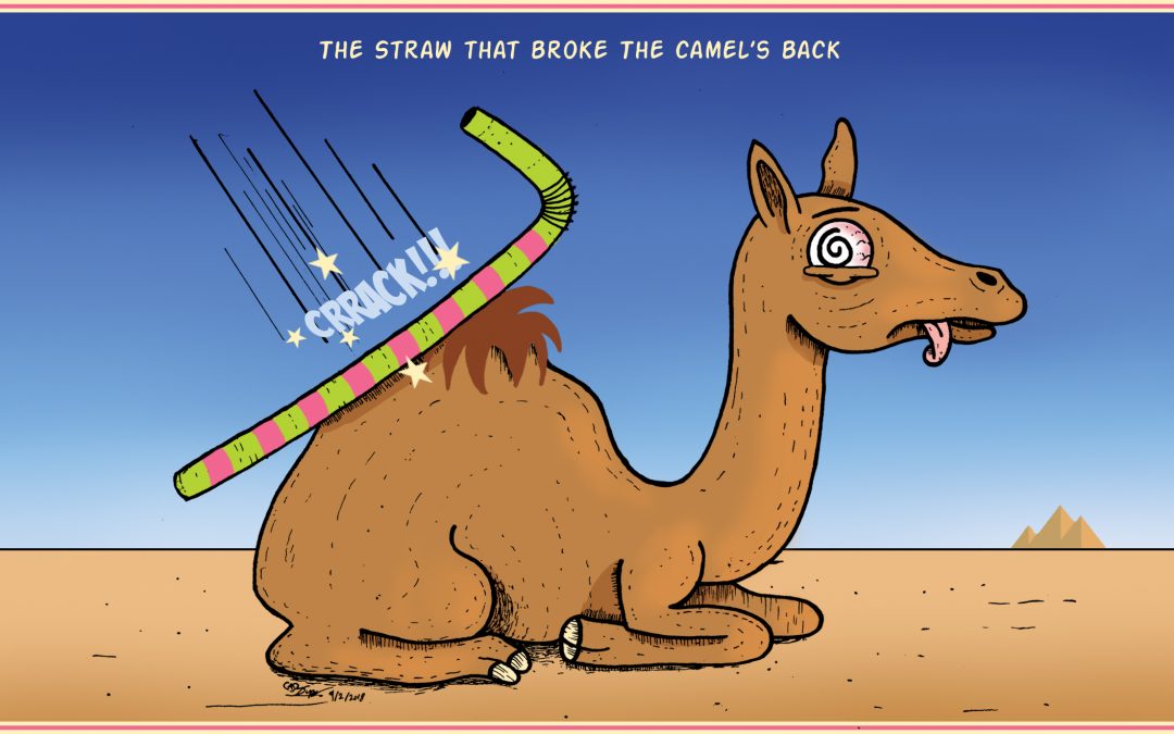 a-straw-that-broke-the-camels-back-dr-manoj-singrakhia